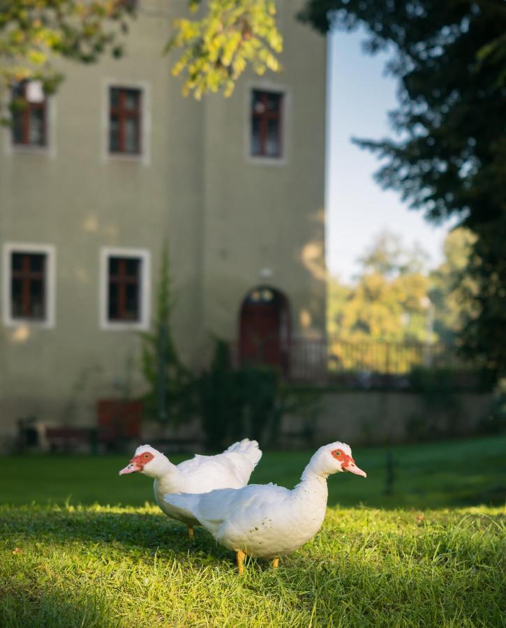 Zamek Dobroszyce Aparthotel Exterior photo